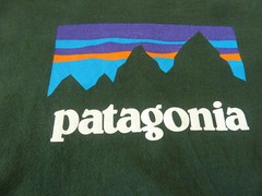 Patagonia Long Sleeve Shirt Dark Green Organic Cotton Regular Fit Adult Sz M