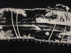NWOT – HAWAII ISLAND VIBRATIONS Color-Change Image Adult L Short Sleeve Tee