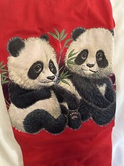 Dragon Pandas Red Short Sleeve Graphic T Shirt Unisex XXL