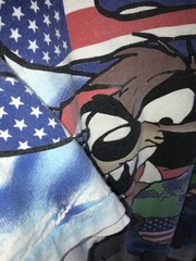 90s Vintage Taz USA T-Shirt Freeze Looney Tunes Large AOP 1995 $85