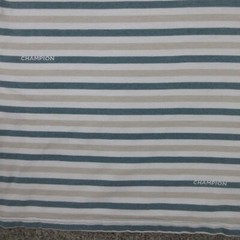 Champion Shirt Mens Large Green Striped Ribbed Collar Embroidered Logo Sport Tee