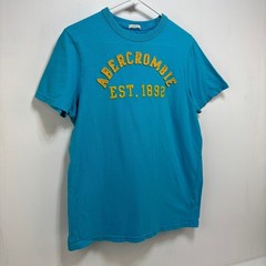 Vintage Abercrombie Muscle Fit Blue Tshirt Men’s Size L Embroidered Y2k