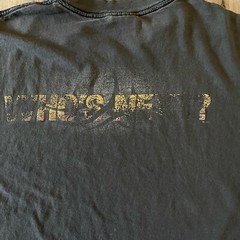 VINTAGE BILL “WHO’S NEXT?” GOLDBERG WCW TSHIRT XLARGE (SLEVELESS)