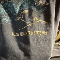 Vintage Hanes Heavyweight Mens XXL Black Roan Mountain State Park Graphic shirt