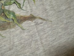 MENS USED VINTAGE 90S SINGLE STITCH KOALA BEAR GRAPHIC ANIMAL SHIRT SIZE LARGE