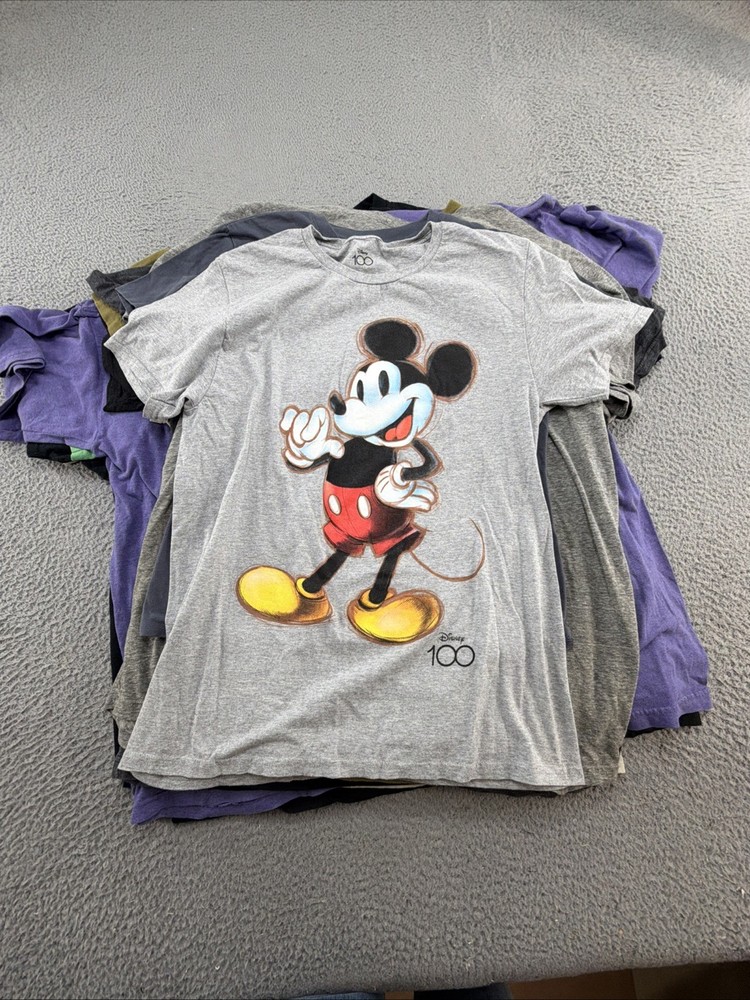 Reseller Lot Of 24 Graphic Tees Bundle Wholesale Mixed Adult Tshirt Bulk Resale
