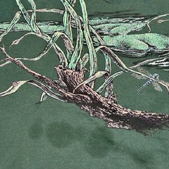 Vintage 1994 Mallard Duck T Shirt L Wildlife Nature Waterfowl Raw Hem Boxy VTG