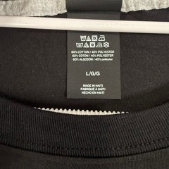 Hanes Mens Large T-Shirt Black 2-Pack X-Temp Cotton Blend Crew Neck O4200 Basics