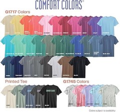 Comfort Colors C1717 Adult Cotton Short Sleeves Heavyweight T(BLACK/2XL/4PACKS)