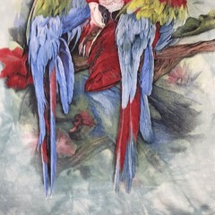The Mountain Tie Dye Parrot T-Shirt Large Blue Birds Art Colorful