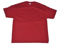 Alstyle Apparel & Activewear AAA Men’s Classic Solid Plain T-Shirt Pack Of 1 pc