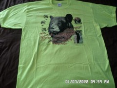 NEW T-Shirt: Black Bear with Information and Paw Prints (LOTS of Colors & Sizes)