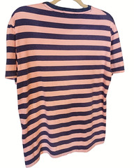 Polo Ralph Lauren Shirt Mens Sm/Blue/Pink Striped Crew Neck Classic Fit Preppy