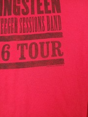 Vtg Bruce Springsteen Seeger Sessions World Tour 2006 Band T Shirt Mens Size L