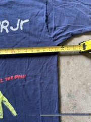 Vintage 1990s Dinosaur Jr Feel The Pain T Shirt Size XL On Fruit Of The Loom Tag