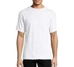 Hanes 5250 Mens Short Sleeve Authentic 100% Cotton Crew Neck Stylish T-Shirt 2XL