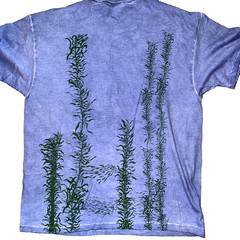 NWT Local Color Art Clothes Adult L Hand Dyed Single Stitch T-Shirt Whales Maui