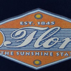 Gildan T Shirt Mens Extra Large Blue Tee Florida Sunshine State Treasure Island