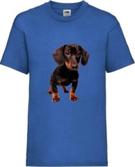 Dachshund Dog Pet Friend Family Novelty T Shirt Various Colours And Sizes