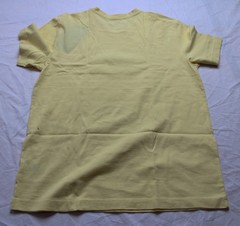 Life Is Good Men’s Dads Best Friend Corgi Shirt CN6 Sandy Yellow Small NWT