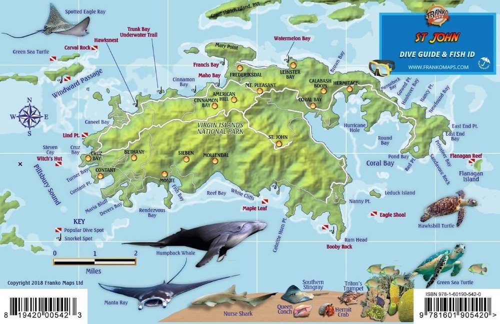 St. John USVI Dive Map Fish ID Virgin Islands Franko Maps Waterproof Fish Card