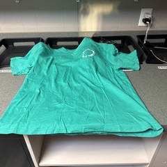PAPER PLANES ✈️ CREW LOVE TEE IN ISLAND GREEN SIZE 2XL🔥