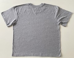 LAT Apparel Men’s Heather Gray Size L “Enfant Terrible” Cropped Crewneck T-Shirt
