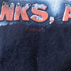 Vintage Y2K Harley Davidson Fairbanks Alaska Graphic T-Shirt Hanes Beefy L 2003