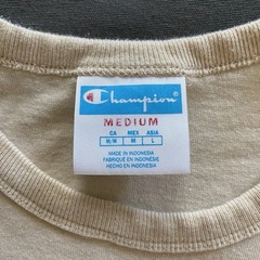 Champion Brand Flower Pot T Shirt Mens Size Medium Beige Short Sleeve