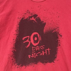 30 Days Of Night Shirt Mens Large Horror Movie Promo Tee Streetwear Adult 2007