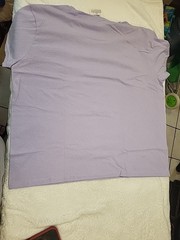 Hanes Ultimate X-Temp Short Sleeve T-Shirt LAVENDER – L – Cooling Wicking