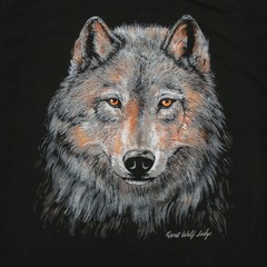 Great Wolf Lodge The Duck Company Men’s Black Wolf Graphic T-Shirt Size L