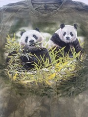 The mountain T-shirt panda bears New Size Medium