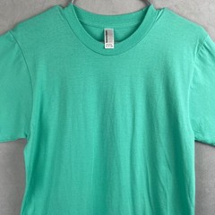 American Apparel Mint Green Cotton Crew Neck Short Sleeve T-Shirt S Retro Indie