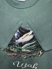 Vintage 80’s Utah Nature / Art Tee Single Stitch T Shirt Medium 19”x26.5”