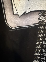 Metallica 2003 Summer Sanitarium Tour T-Shirt Vintage Y2K, Black, Size M