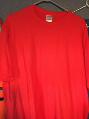 t-shirt To QUILT Human Finish Devine Quilting AQS Fabric custom stitch fat 1/4