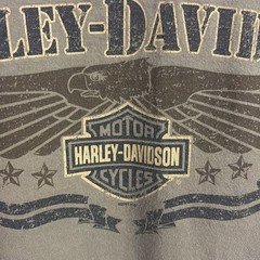 Harley-Davidson olive green graphic tshirt. Sz XL. From Pensacola FL. 2007.