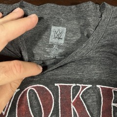 WWE Matt Hardy Woken Warrior T Shirt Men’s Medium Gray Wrestling Delete Graphic