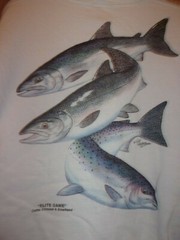 Enviromental Fine Art Wear white L 42 44 sweatshirt Elite Game FISH