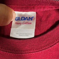 Gildan T-Shirt Mens Size L Red University of South Carolina Gamecocks Skeleton