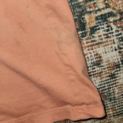 Patagonia P-6 Logo Organic Cotton Tee | Large | Desert Orange Sustainable Flaw