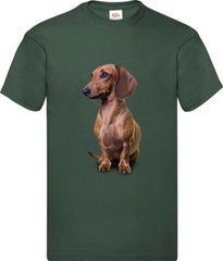 Brown Dachshund Dog Pet Friend Family Novelty T Shirt Various Colours And Sizes