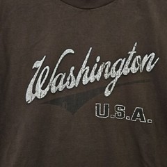Washington USA Brown Large Graphic Tee Y2K Retro Alstyle Apparel Activewear