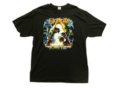 RARE VINTAGE 2005 DEF LEPPARD ROCK OF AGES TOUR SHIRT – EVERY HYSTERIA TOUR DATE