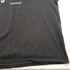 Got Fun? Carnival Cruises Vintage T Shirt Heavy Cotton Men 2XL