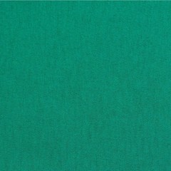 Hanes 5170 5XL EcoSmart Crewneck Short Sleeve Tee Pit to Pit 31″ Kelly Green
