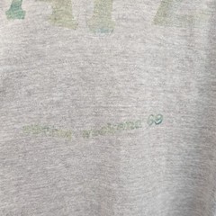 VTG Russell Southern T-Shirt Mens M Gray Alpha Gamma Sigma Spring Weekend 69 60s