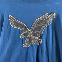 American Eagle Mens Y2K Long Sleeve T-Shirt XXL Turquoise Athletic Fit Logo 2013