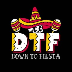 Down To Fiesta Sarcastic Humor Graphic Tee Gift For Men Novelty Funny TShirt